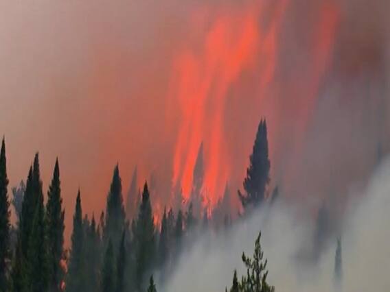 जल रहा है 'पृथ्वी का फेफड़ा' ! देखिए दुनिया के सबसे बड़े जंगल में सबसे बड़ा 'अग्निकांड'