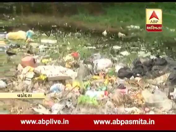 વડોદરાઃ સયાંજીગંજના ભાજપના ધારાસભ્ય જીતેન્દ્ર સુખડીયાએ દત્તક લીધેલા ગામમાં ઠેર ઠેર છે ગંદકીના ઢગલા
