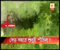 পুরো টাকা বরাদ্দ, অথচ থমকে পশ্চিম বর্ধমানের লাউদোহায় পোলট্রি ফার্মের ছাউনির কাজ