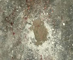 নিমতায় মদের আসরে গুলি, ফুটবলারের মৃত্যু, আটক মৃতের জেঠতুতো দাদা সহ ২