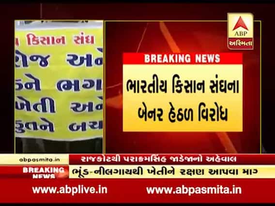રાજકોટમાં ભૂંડ અને નીલ ગાયના ત્રાસથી ખેડૂતો પરેશાન, જુઓ વીડિયો