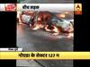 नोएडा सेक्टर 127 में बड़ा हादसा, बीच सड़क पर जलकर खाक हुई कार