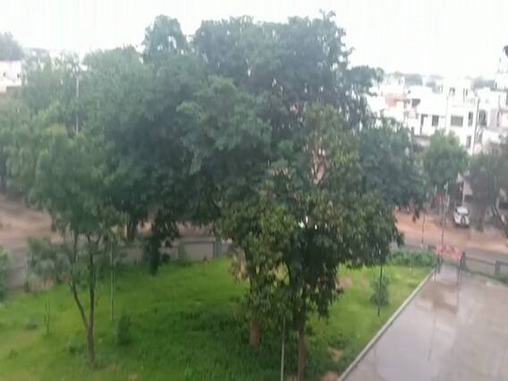 ગાંધીનગરમાં સવારથી ઝરમર વરસાદનો પ્રારંભ, જુઓ વીડિયો