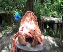 ডালখোলায় লক্ষাধিক টাকা আত্মসাতের পর সম্পত্তি হাতাতে বৌদিকে খুনের অভিযোগ, গ্রেফতার অভিযুক্ত