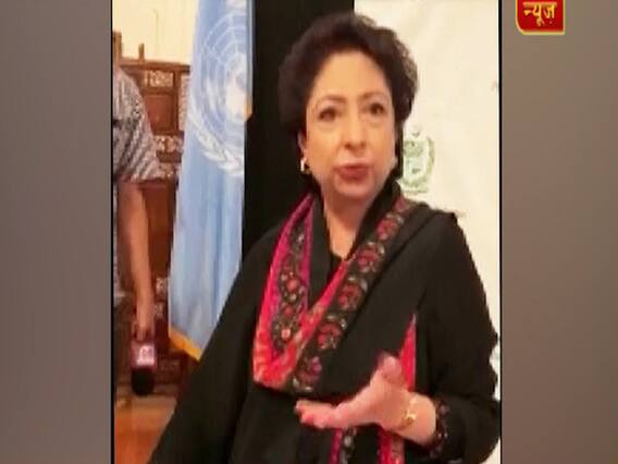 You Are Stealing Our Money: Man Accuses Pak's Envoy To UN | Panchnama Full