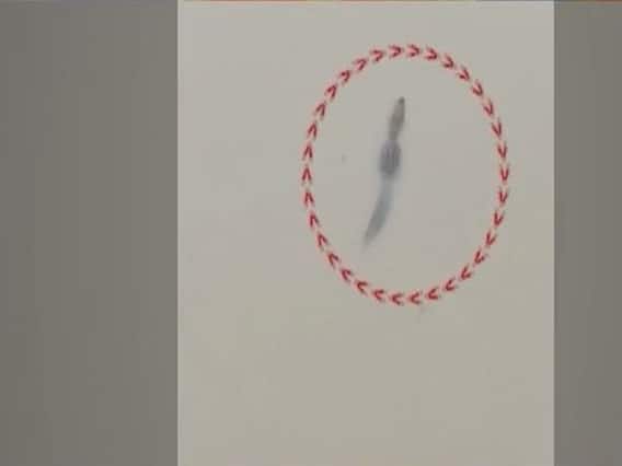 गुजरात में भारी बारिश का कहर जारी, वडोदरा के रिहायशी इलाके में घुसे मगरमच्छ | पंचनामा (01.08.2019)