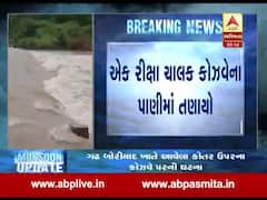 વડોદરા: રીક્ષા ચાલક કોઝવેના પાણીમાં તણાયો, જુઓ વીડિયો