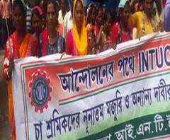 Reporter Stories: ন্যূনতম মজুরির দাবিতে মাটিগাড়া থানা এলাকায় বিক্ষোভ চা শ্রমিকদের 