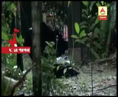 বৃষ্টির মধ্যে রাতে বাড়ি ফেরার সময় বিদ্যুৎস্পৃষ্ট হয়ে দাদার মৃত্যু, আহত বোন