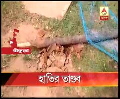 বাঁকুড়ার বড়জোড়ায় জোড়া হাতির তাণ্ডবে নষ্ট মিড-ডে মিলের খাবার, মুড়ি-কারখানা