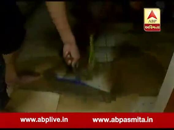  વડોદરા પૂરઃ સમા વિસ્તારના અમિતનગરના ઘરોમાંથી પાણી ઉલેચી રહ્યા છે લોકો, જુઓ વીડિયો