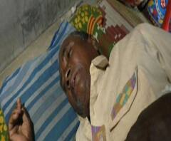 Reporter Stories: হনুমানের আতঙ্কে ত্রস্ত বাঁকুড়ার বেলাতোড়ের বাসিন্দারা