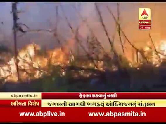 અસ્મિતા વિશેષઃ ફેફસા સડવાનું નક્કી