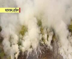 বিধ্বংসী দাবানল, আমাজনকে বাঁচানোর ডাক ইম্যানুয়েল মাকরেঁর 