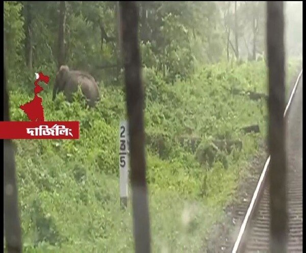 ABP News ABP News
