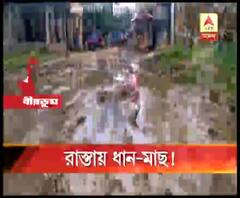 বেহাল সড়ক, বীরভূমে রাস্তায় ধানের চারা পুঁতে, মাছ ছেড়ে অবরোধ