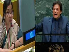 UNમાં ઇમરાને ઓકેલા ઝેર પર ભારતનો ઝડબાતોડ જવાબ, જુઓ વીડિયો