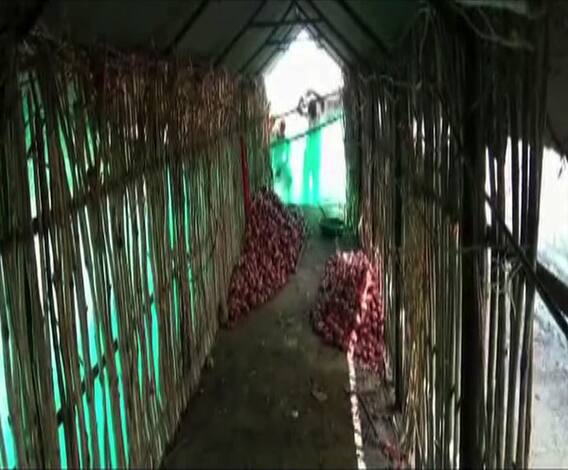 Onion Theft | नाशिकमध्ये 25 क्विंटल कांदा चोरीला, कळवणमधील शेतकऱ्यांचं नुकसान | ABP Majha 