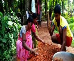 Reporter Stories: প্রশাসনের কাছে আবেদন করেও মেলেনি ফল, নোদাখালিতে গ্রামবাসীরা নিজেরাই রাস্তা সারাচ্ছেন 