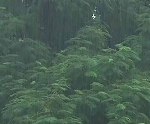 পুজোর আগে ‘অসুর’ বৃষ্টি, চলতে পারে সোমবার পর্যন্ত 