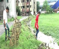 Reporter Stories: ডেঙ্গি মোকাবিলায় দায়িত্ব কার? কামারহাটি পুরসভায় কেন্দ্র-রাজ্য চাপানউতোর