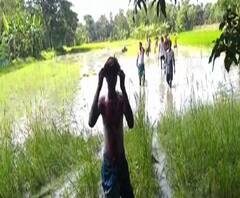 জমি নিয়ে বিবাদে রণক্ষেত্র দঃ ২৪ পরগনার ঢোলাহাট, দুপক্ষের সংঘর্ষে আহত ৭