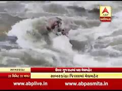 ઉત્તર ગુજરાતમાં ધોધમાર વરસાદઃ હિંમતનગરની હાથમતી નદીમાં ઘોડાપૂરની સ્થિતિ, જુઓ વીડિયો