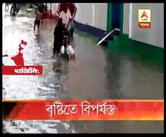কয়েক ঘণ্টার ভারী বৃষ্টিতেই জলমগ্ন শিলিগুড়ির তিনটি ওয়ার্ড, আগামী ৪৮ ঘণ্টায় ভারী বৃষ্টির পূর্বাভাসে আতঙ্কে সাধারণ মানুষ