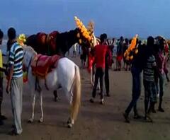সমুদ্র সৈকতে ঘোড়া সওয়ারিতে নিষেধাজ্ঞা জারি দীঘা শঙ্করপুর উন্নয়ন পর্ষদের