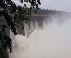 Reporter Stories: ঝাড়খণ্ডে অতিবৃষ্টি, বিপদসীমায় মাইথন ও পাঞ্চেরের জলস্তর, জল ছাড়ছে ডিভিসি 