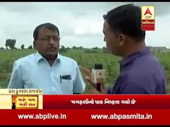 મારુ ગામ મારી વાતઃ રાજકોટમાં સતત વરસાદના કારણે કપાસ-મગફળી અને કઠોળને લઇને શું છે કૃષિ એક્સપર્ટ મત, જુઓ વીડિયો
