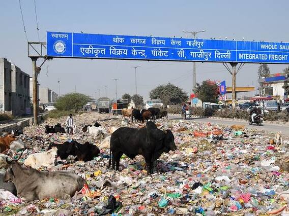 घंटी बजाओ की खबर का असर, सिंगल यूज प्लास्टिक के खिलाफ प्रधानमंत्री नरेंद्र मोदी ने छेड़ दी मुहिम 