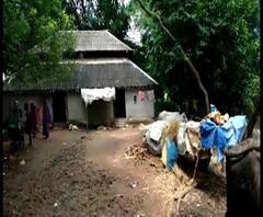 Reporter Stories: ইন্দিরা আবাস যোজনার বাড়ি পাইয়ে দেওয়ার নাম করে মহিলাকে কুপ্রস্তাব তৃণমূল নেতার