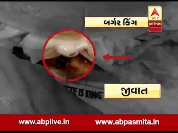 ફાસ્ટ ફૂડ ખાનારાઓ ચેતજો, બર્ગર કિંગ રેસ્ટોરન્ટમાં ગ્રાહકના બર્ગરમાંથી નીકળ્યું મચ્છર, જુઓ વીડિયો