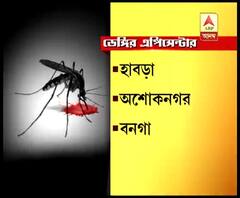 হাবড়ায় ডেঙ্গি আক্রান্তের মৃত্যু, আতঙ্কে স্থানীয়রা 