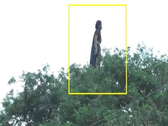 इमली के पेड़ पर हिलती हुई महिला को देख कर समझिए कि लिंचिंग और बच्चा चोरी की अफवाह कैसे जन्म लेती है ?