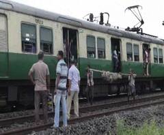 Reporter Stories: বিবাহ বহির্ভূত সম্পর্কের জেরে নদীয়ায় আত্মঘাতী যুগল