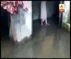 Reporter Stories: কয়েক ঘণ্টার ভারী বৃষ্টিতে জলমগ্ন শিলিগুড়ির তিনটি ওয়ার্ড, সমস্যায় স্থানীয়রা