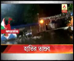 ঝাড়গ্রামে রাতভর হাতির তাণ্ডব, ভোরের আগে ডিয়ার পার্কের জঙ্গলে ঢুকে গেল দাঁতাল