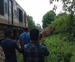 জলপাইগুড়ির ক্যারন স্টেশনের কাছে হাতিকে ধাক্কা মেরে বিকল ট্রেনের ইঞ্জিন! দুর্ঘটনার জেরে ব্যাহত রেল পরিষেবা