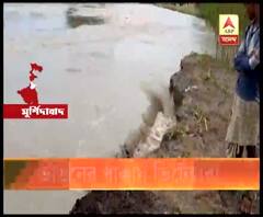 গঙ্গার ভাঙনে ভিটেহারা ফরাক্কার ৭০টি পরিবার, ত্রাণের দাবি