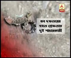 জলপাইগুড়িতে উদ্ধার কোটি টাকা মূল্যের তক্ষক, আটক দুই পাচারকারী