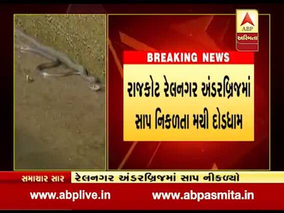 રાજકોટઃ રેલનગર અંડરબ્રિજમાંથી નીકળ્યો સાપ, જુઓ વીડિયો