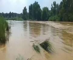 Reporter Stories: একটানা বৃষ্টিতে জল বেড়েছে নদীতে, যোগাযোগ বিচ্ছন্ন, নাজেহাল আম জনতা 