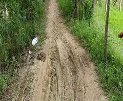 Reporter Stories: ভাঙা মাটির দেওয়াল, ফুটো টিনের চাল, পরীক্ষার ফল ভাল হওয়ায়, প্রাণের ঝুঁকি নিয়েই এই স্কুলে আসে পড়ুয়ারা