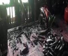 Reporter Stories: রানিনগরে বিজেপির দলীয় কার্যালয়ে অগ্নিসংযোগ ও ভাঙচুর নিয়ে তৃনমূল বিজেপি তরজা