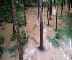 Reporter Stories: দেখুন, টানা বৃষ্টিতে জলমগ্ন পটাশপুরের ছবি