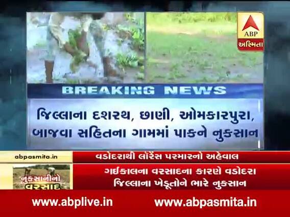 વડોદરામાં મોડી રાતે પડેલા વરસાદથી ઊભો પાક બળી ગયો, જુઓ વીડિયો