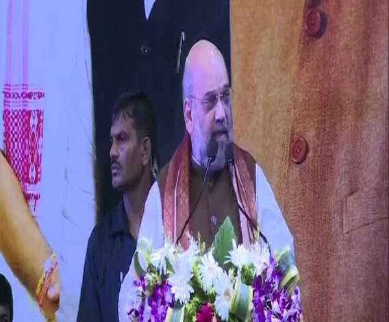 ৩৭০ ধারা বিলোপ করে শ্যামাপ্রসাদের স্বপ্ন সফল করেছেন মোদি: অমিত শাহ