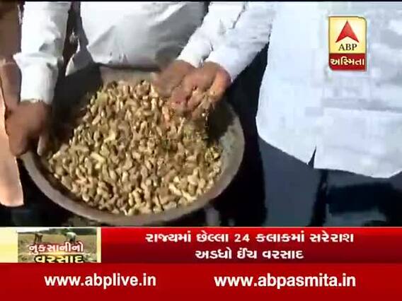 રાજકોટમાં પડેલા વરસાદથી ભારે ખેતીને નુકસાન, કિસાન સંઘના આગેવાનો પહોંચ્યા પડધરી